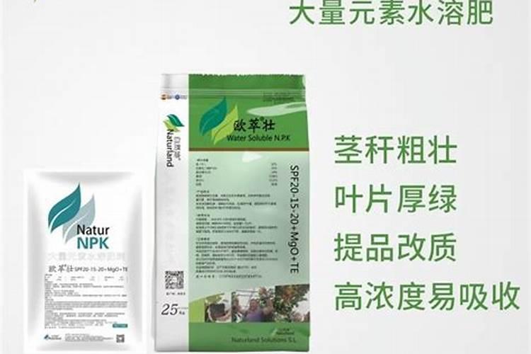 钙镁肥应该怎么选