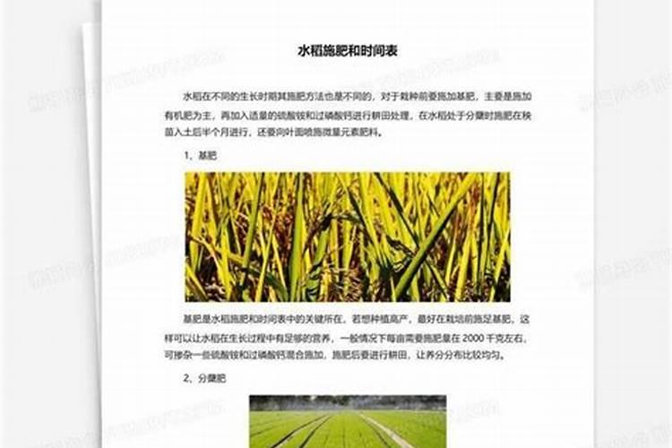 水稻穗肥什么时候施好