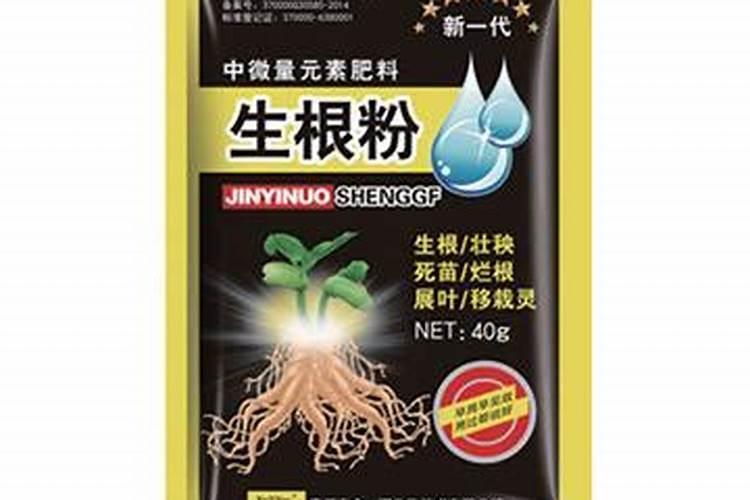 生根剂水溶肥叶面喷施效果会好吗