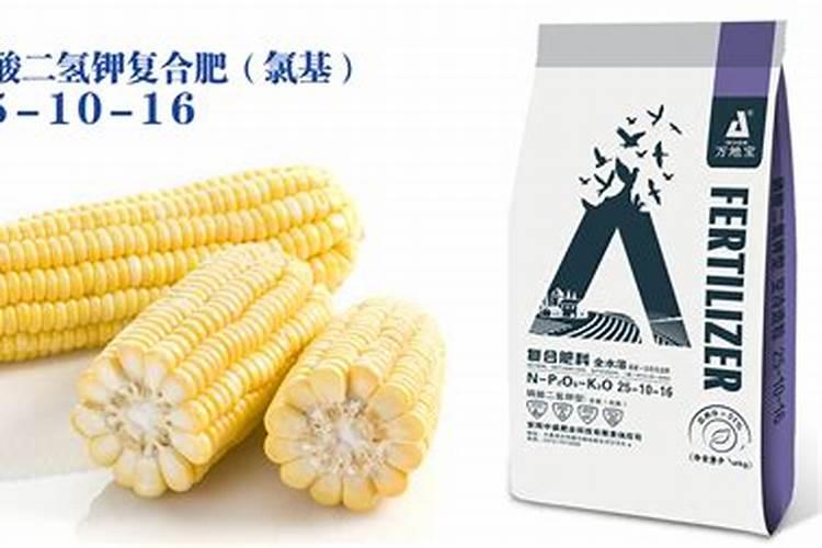 种玉米最忌三种肥料