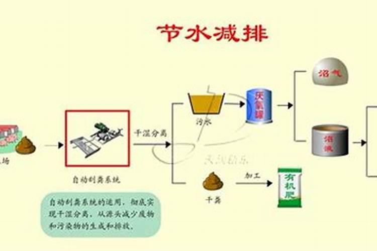 君子兰需要什么肥料