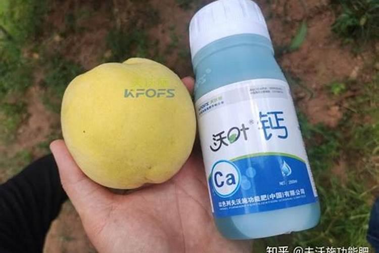 高氯复合肥能用什么作物