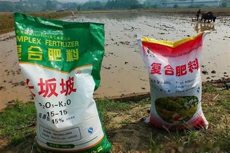 玉米缓控释肥多少钱一袋