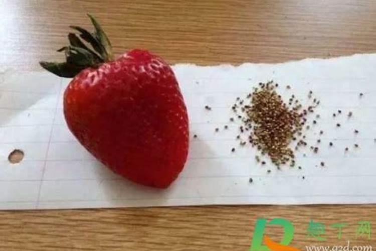 紫花苜蓿追肥施用什么化肥