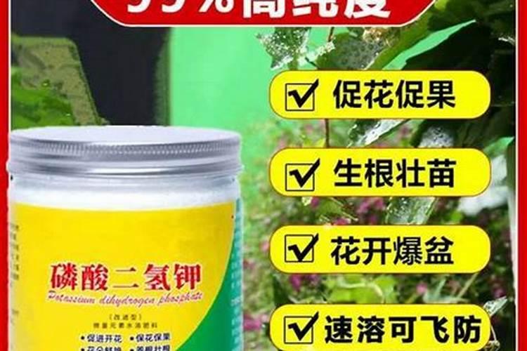 生活中常见的天然氮肥有哪些
