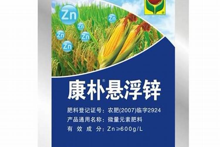 芸豆开花前怎么管理