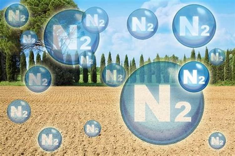空气中氮气的作用是什么啊？