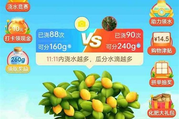 在拼多多中果园施肥的具体图文讲解