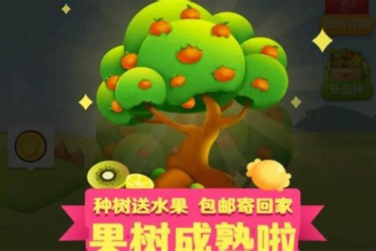 拼多多上的多多果园抽的化肥用不上是怎么回事啊
