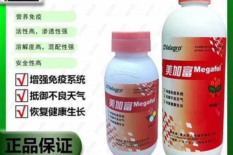 什么农药对洋葱没有影响？
