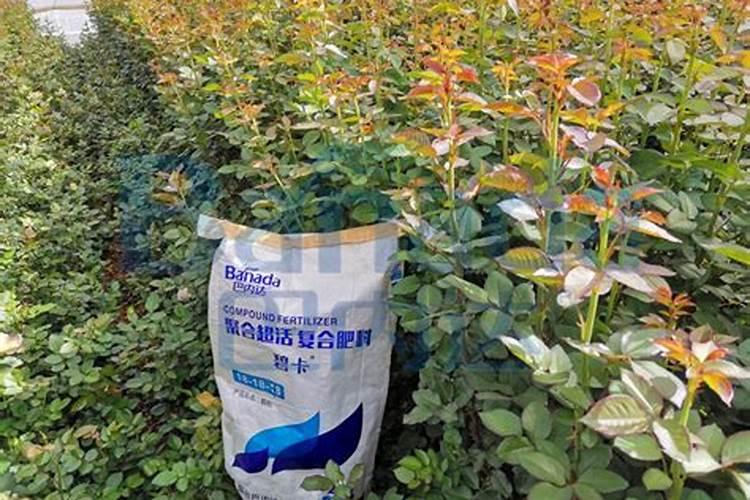 水溶肥生产配方技术