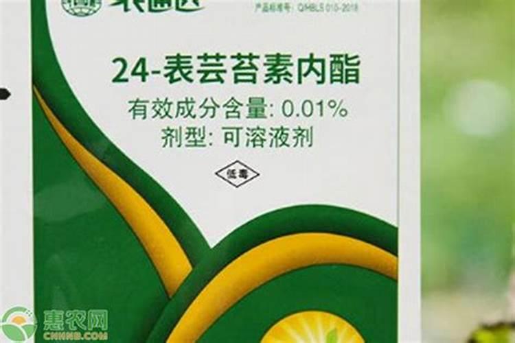 沃柑能在零下几度果子不会冻
