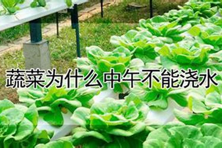 农药配药顺序是什么样的