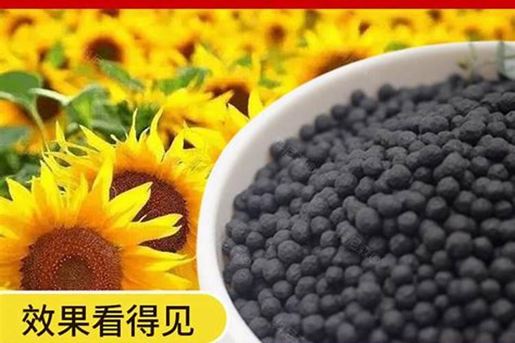 请问各位老师花生需要哪些肥料元素比较大氮磷钾？