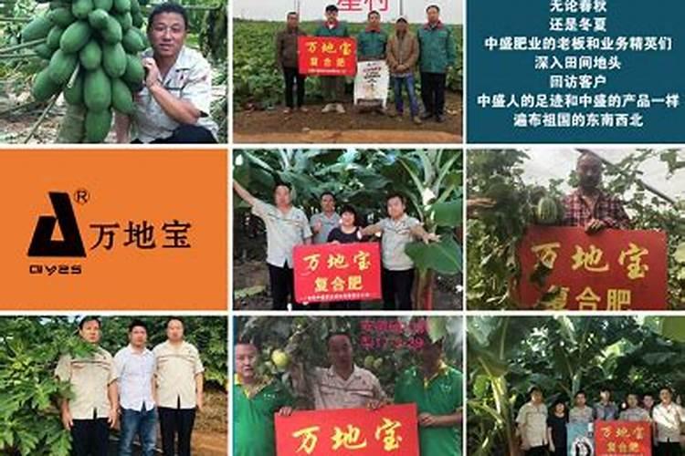 芒果专用肥配方有哪些内容？
