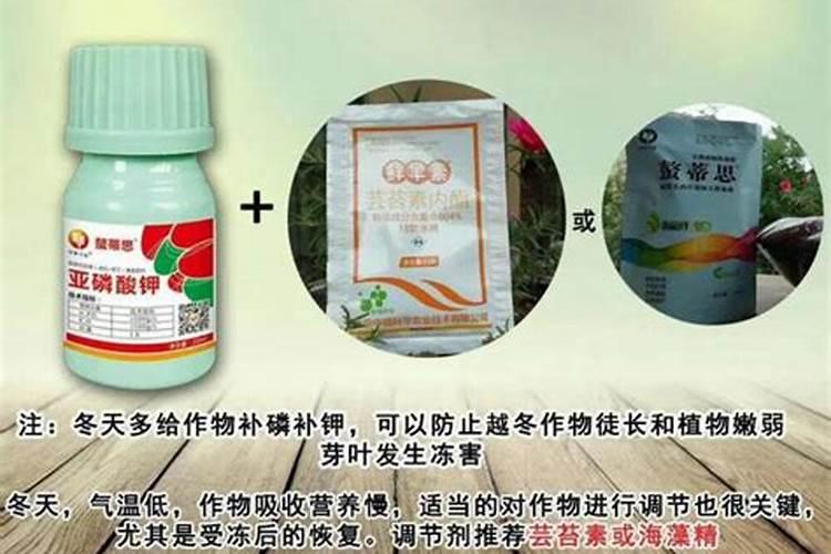 亚磷酸钾复配禁忌,和磷酸二氢钾哪个控旺效果好