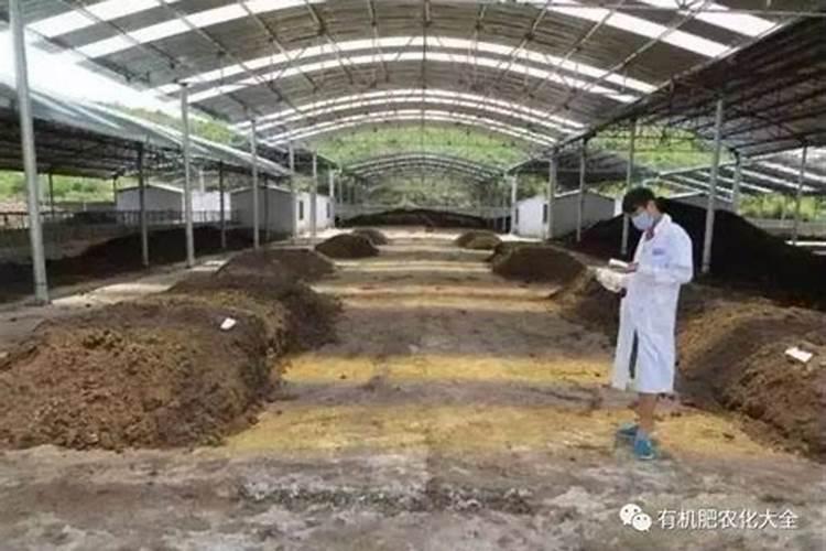 仓鼠能不能吃树叶干？