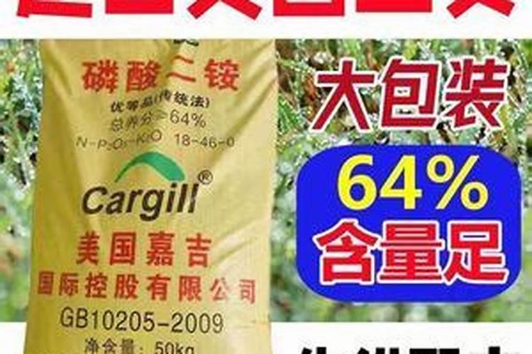生姜用什么肥料做底肥最佳 施肥要注意什么
