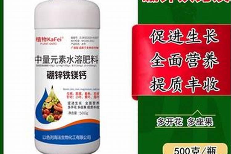 果树初冬要抓好五项措施