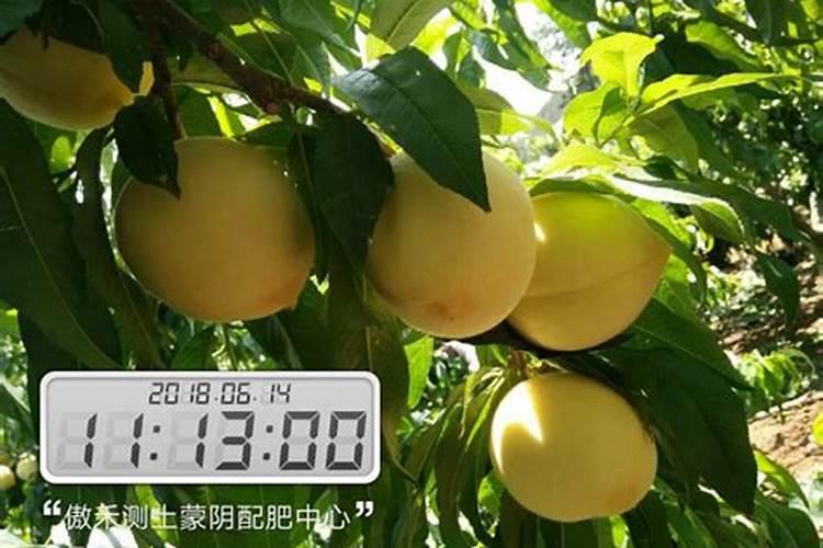 抚顺梨花谷好玩吗