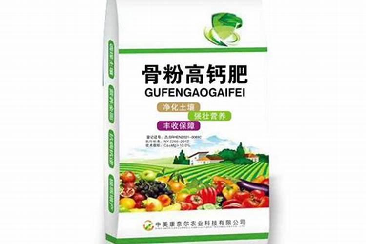 招财树怎么养家庭养法