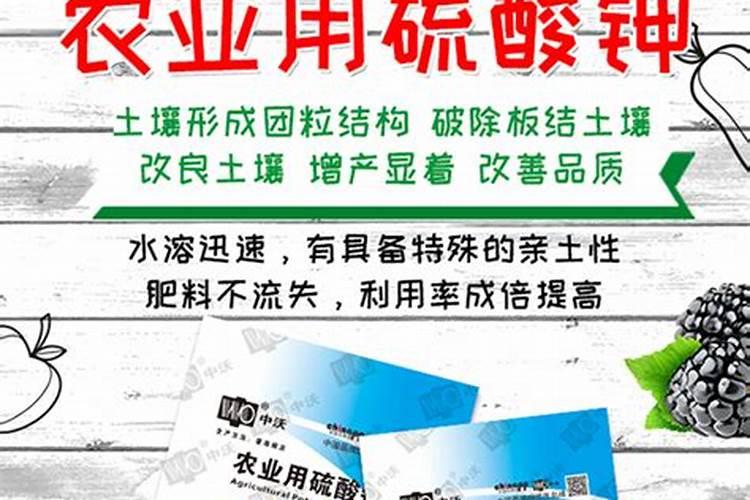为葡萄树选择什么肥料才是最好的