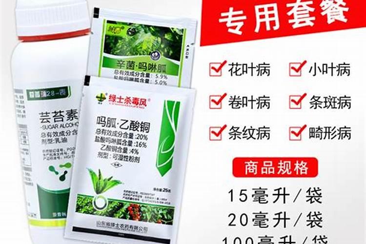 细胞分裂素和芸苔素内脂能一起使用吗？