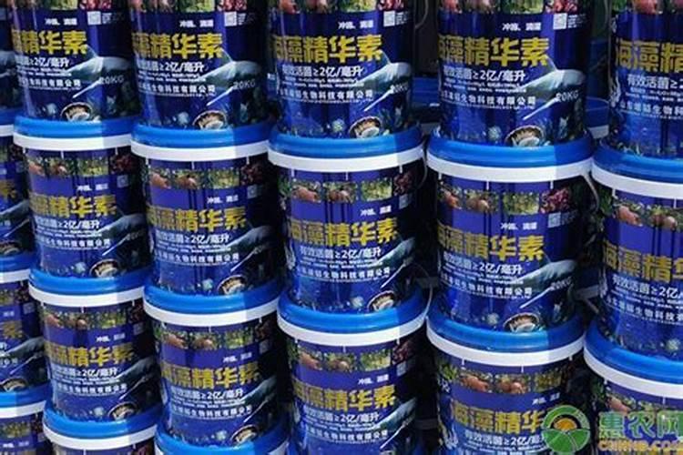 用于小果树施肥的好肥料有哪些