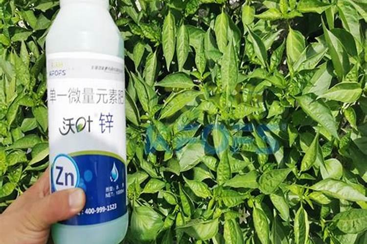 叶面喷施锌肥作用,喷施用量为多少合适
