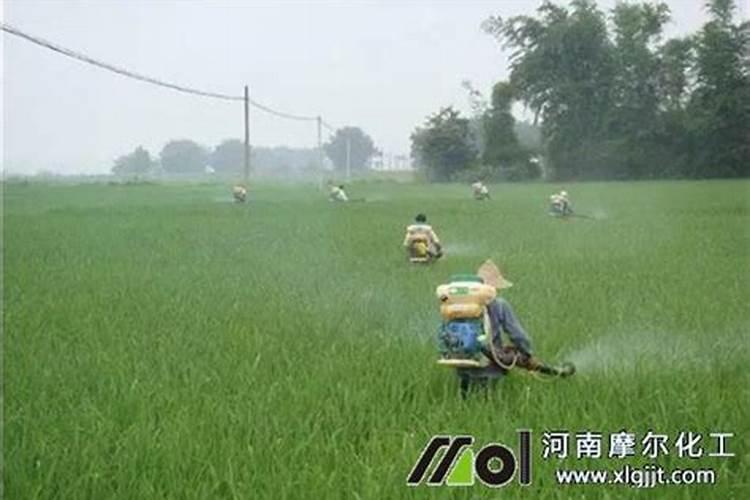 果树叶面肥有哪些品种