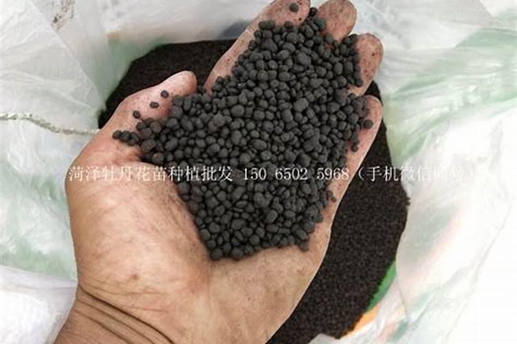 牡丹花喜肥吗 喜欢施什么肥料