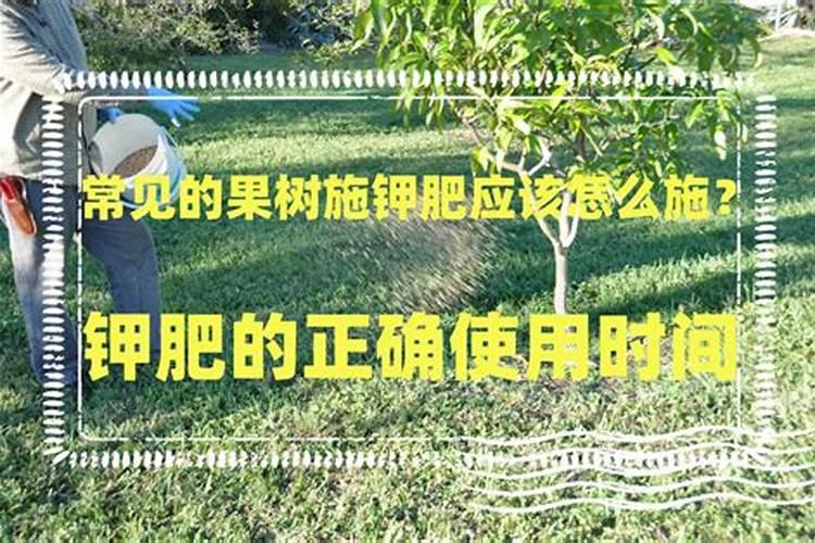 油菜该如何施肥？油菜施肥推荐量在多少？