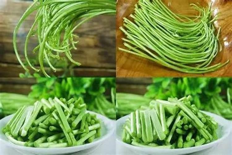 农户栽培芦蒿芽,如何整地与施肥？