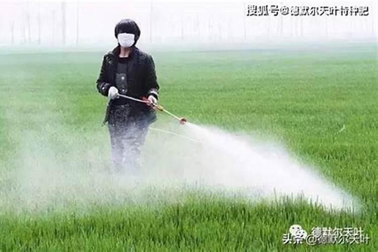 一亩地能施多少硝酸铵钙