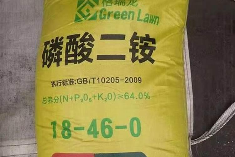 茄子苗用什么肥料最好
