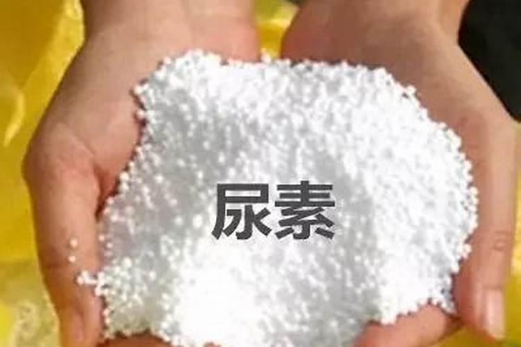 棉花每个生长周期的施肥方案 施肥用一铵还是用二铵