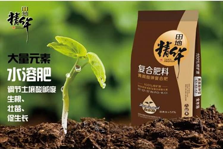 樱桃采摘后施什么肥料好