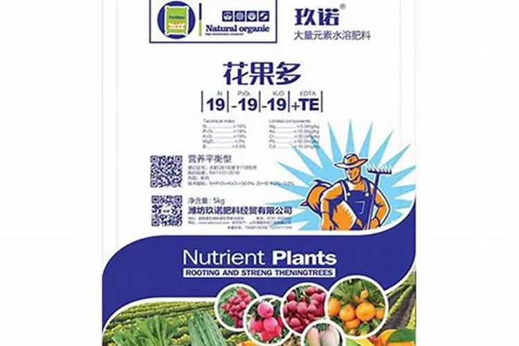 如何控制番茄的花果