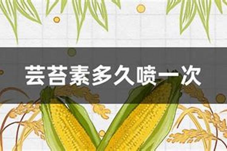 茄子的需肥规律是怎样的？施肥时需要注意哪些问题？