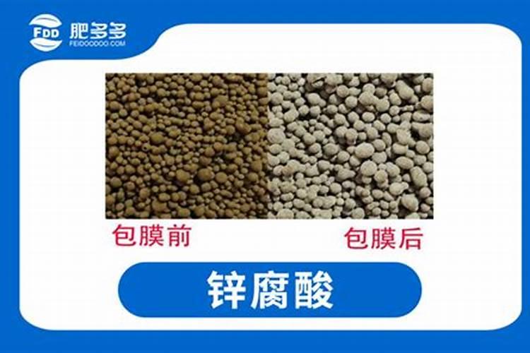 茄子用什么肥料好