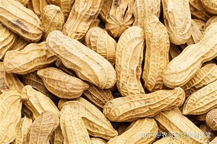 种花生用什么肥料最好,怎么施肥