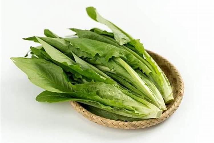 大量氮磷钾肥料产生的后果