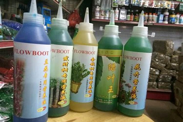 什么花肥好用 养花用营养液好还是肥料好