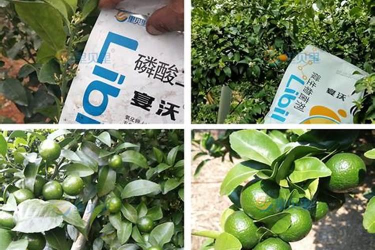 硝酸钾在作物上的使用方法用量及注意事项