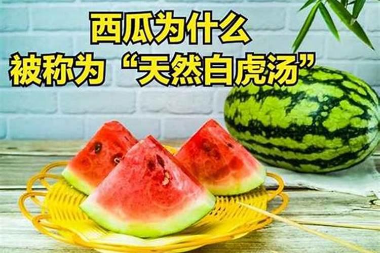 如何种西瓜