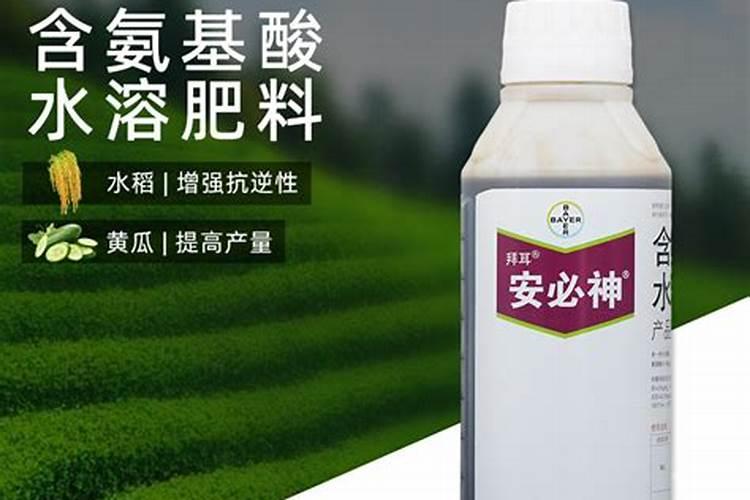 种植蔬菜上什么肥料最好