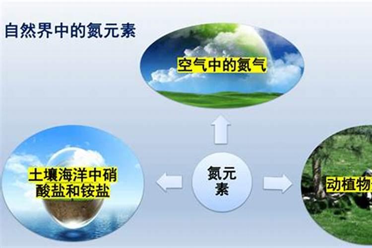 no2是什么