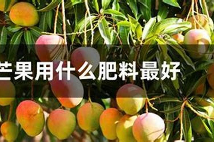 世界水溶肥前十品牌