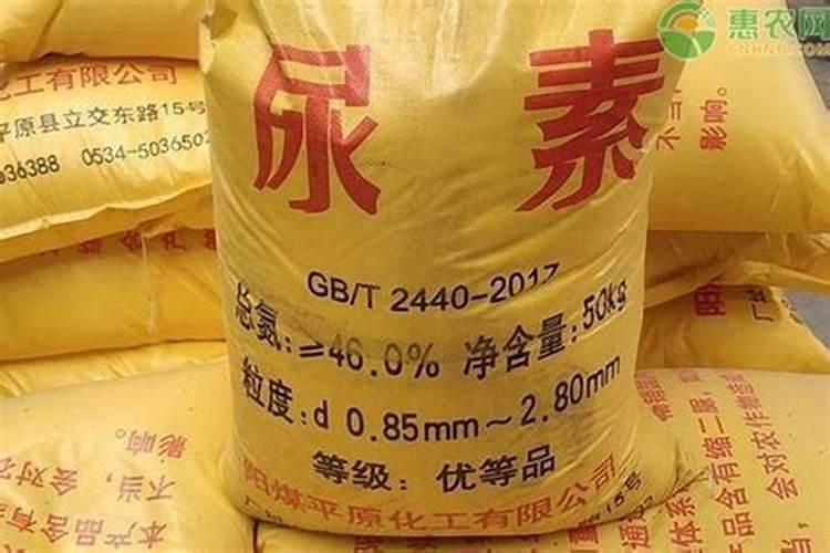 花椒树什么时候可以喷施叶面肥？