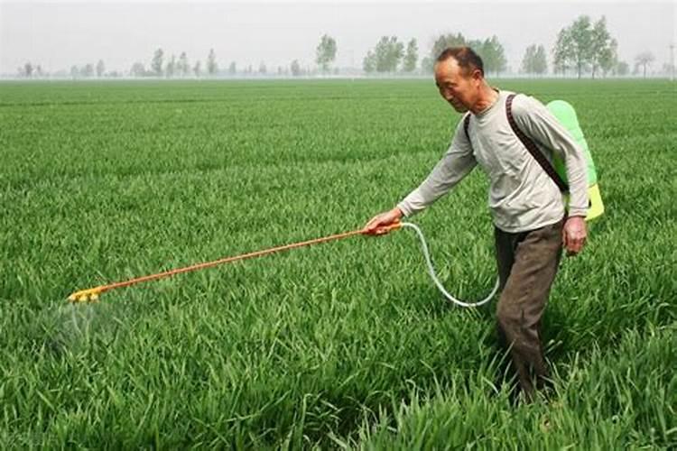 微量元素水溶肥料硼锌铁镁钙可以和磷酸二氢钾混用吗？